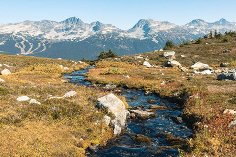 whistler mountain hike