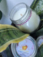 Grapefruit and Bimini Keys Fragrance Candles