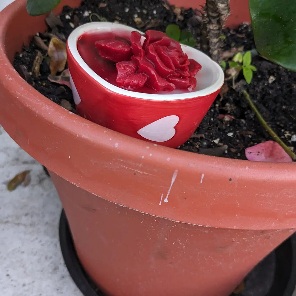 Thumbnail: Heart-Shaped Rose Scented Candles for a Perfect Valentine's Gift