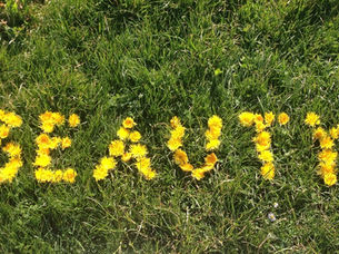 Ode à la nature