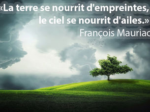 Beau comme un ciel ailé...