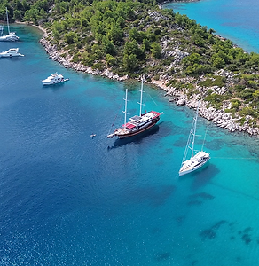yoga cruise (26).png