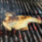 Pollo picantón