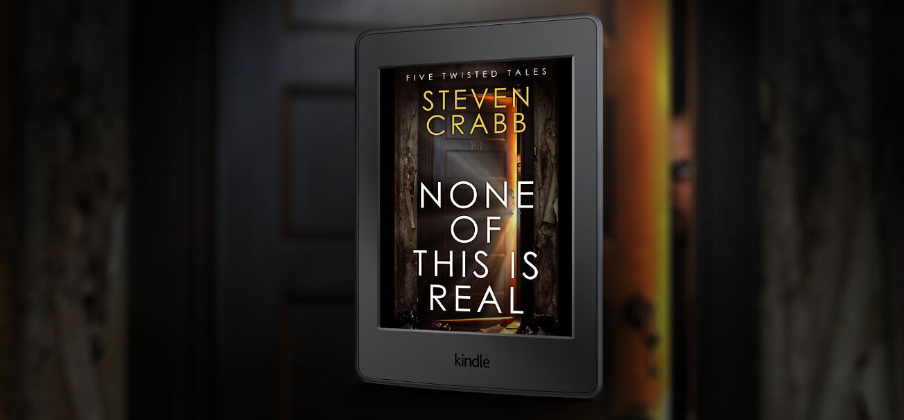 none of this is real cover