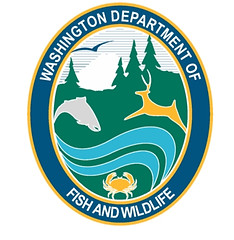 WDFW_logo_Wix_square_edited_edited_edited.jpg