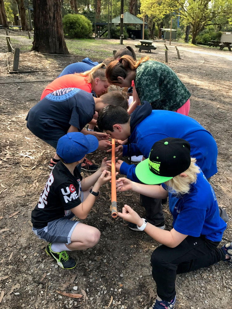 Spotswood primary school