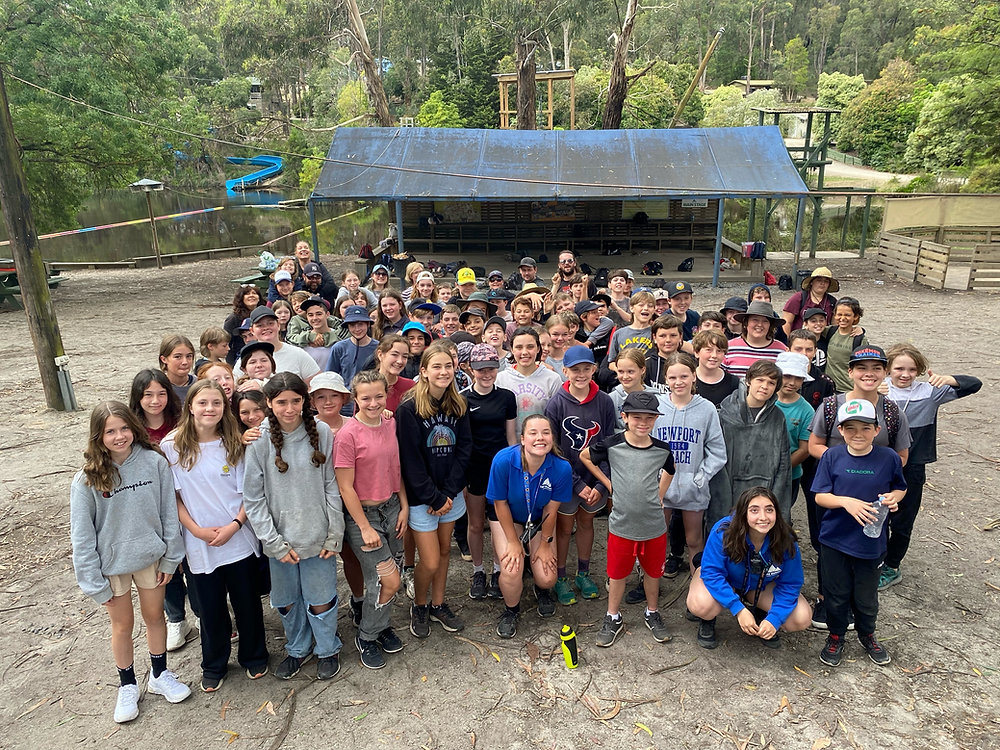 Dromana Primary School Blog