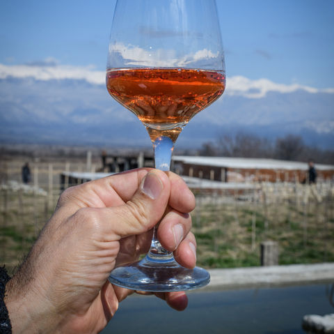 Wine Tour