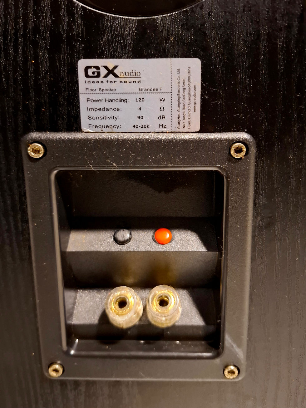 Miniatura: CAIXAS TORRE GX AUDIO GRANDEÈ 120W 90dB 40Hz 6.5" x2