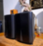 CAIXAS all wheater
AR acoustic research THE EDGE PRO 150W 5" 8ohms 91dB