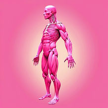 pink picture of a whole body.jpg