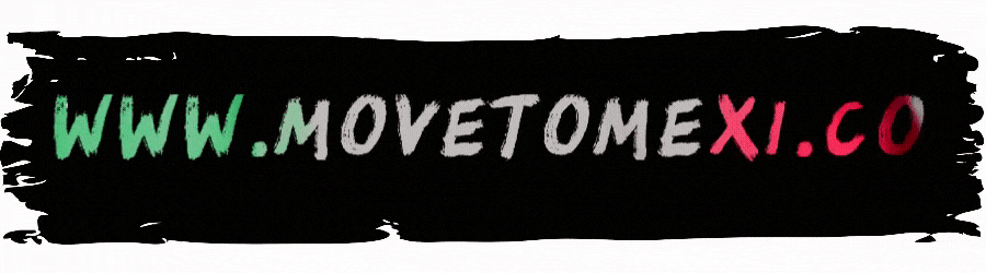 WWW.MOVETOMEXI.CO LOGO icon.gif