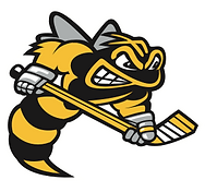 sarnia_sting.png