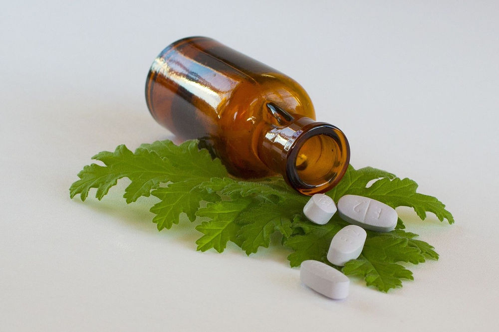 Les plantes antibiotiques de demain à cultiver dans votre jardin — free download