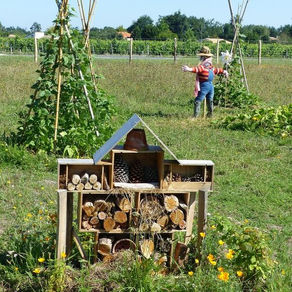 Échanges permaculture et électroculture entre les membres