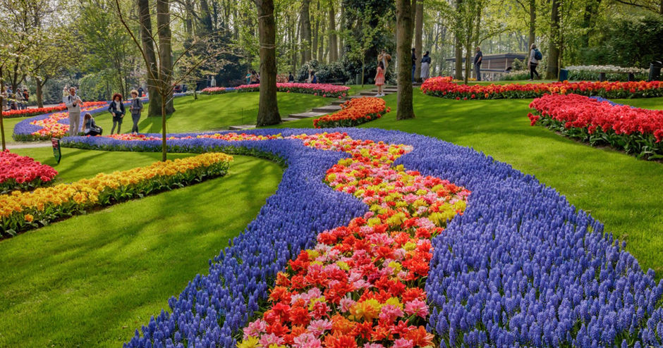 Keukenhof et Corso 2024