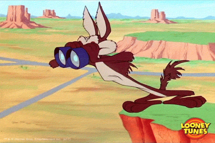 giphy (1).gif