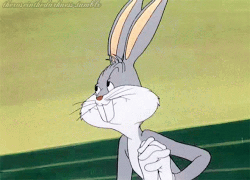 56ca9b43bee7972cecbab22fbb21d6e4.gif
