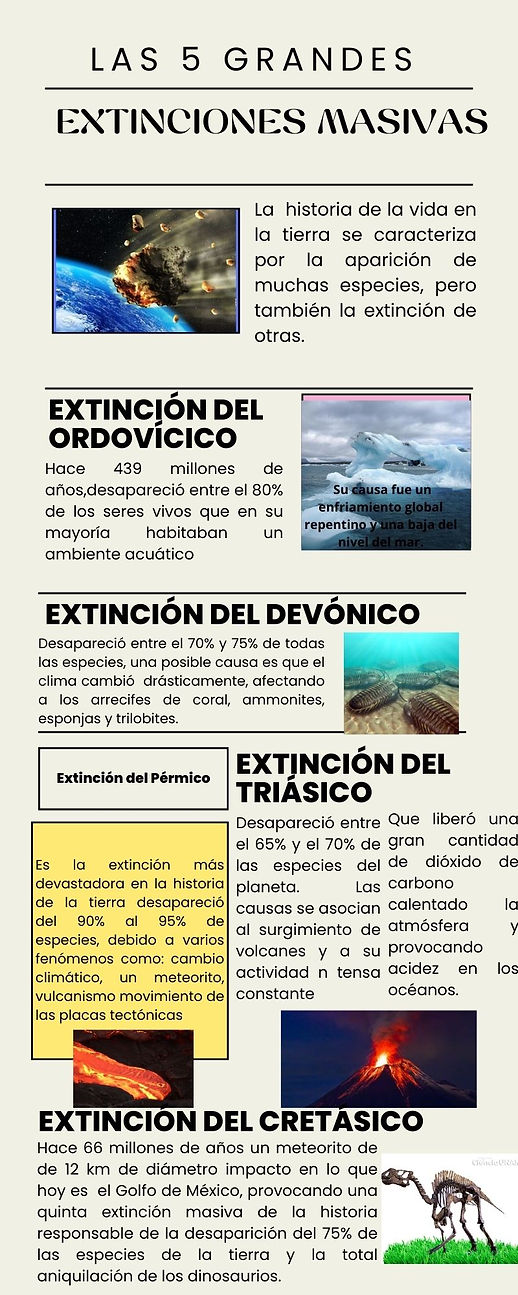 Infografía de periódico moderno ordenado colorido.jpg