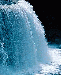 314f1f5ee1bff34e92b8fa2ff09608e0 (1).gif