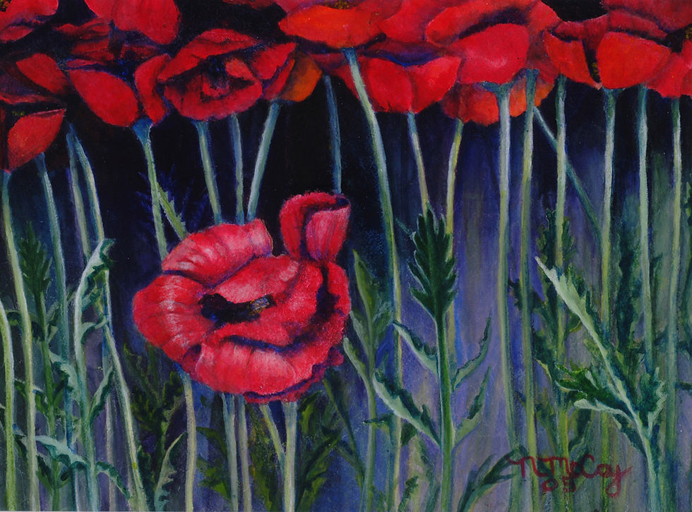 Primary Colors Poppies