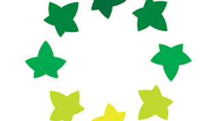 At Pine Street Preschool, the school's youngest learners begin their journey in a safe, nurturing environment where curiosity is encouraged and wonder comes to life. Through playful exploration and meaningful connections, children start building the early literacy, inquiry, and social skills that lay the foundation for a lifetime of joyful, collaborative learning. The school's program includes trilingual learning opportunities.