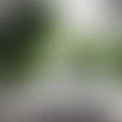 Transform Your Bathroom with Inde Construction Services in Indiana