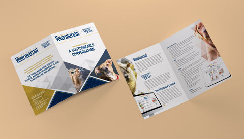 American Veterinarian Marketing