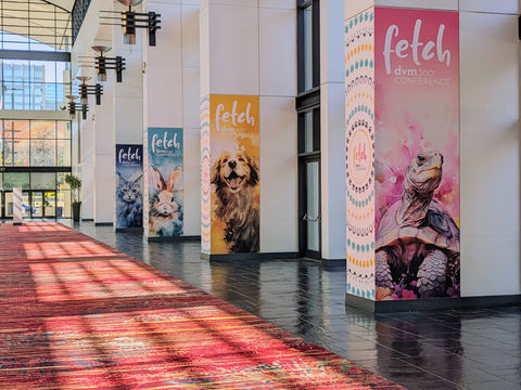 Fetch Charlotte 2024