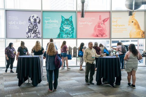 Fetch Kansas City 2022