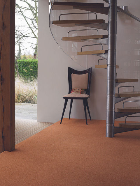 Hamilton Carpets - Carpet Flooring - Brintons - Bell twist 15-63 - Stairs and Hallway