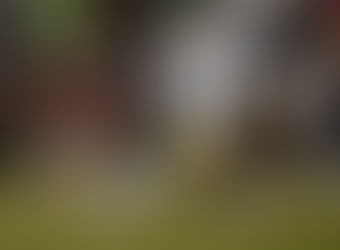 Miami Dolphins 2026 Senior Bowl Watchlist