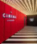 Commercial Flooring Solutions