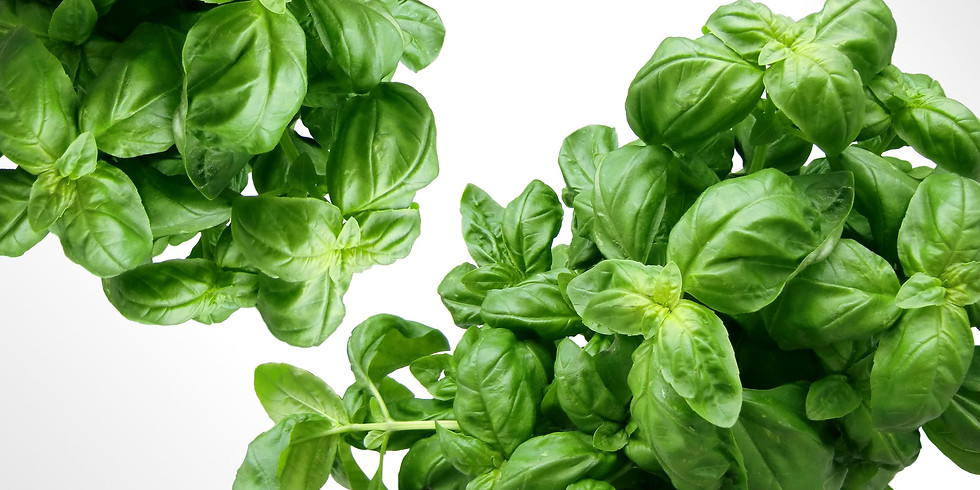 For the Love of Herbs with Chef Audy