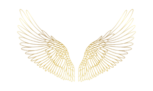 Gold angel wings symbolizing spiritual guidance, healing, and angel communication