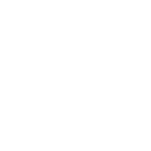 EFI_Motif_PNG.png