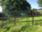 Pawprints Secure Dog Paddock Fence 2