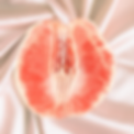 web vagina 1.png