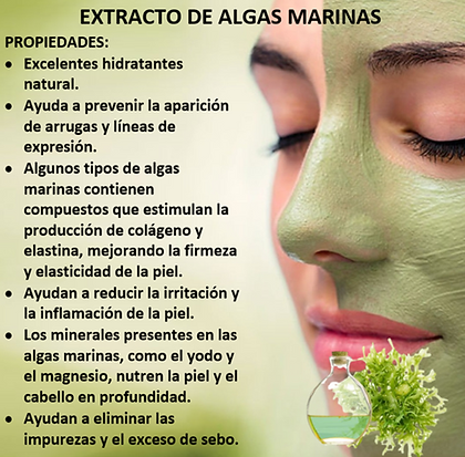 EXTRACTO DE ALGAS MARINAS.png