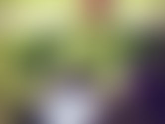 What will get me out of my rut?