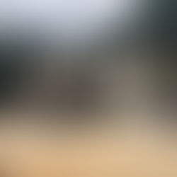 CHS Service Project is Back on Track