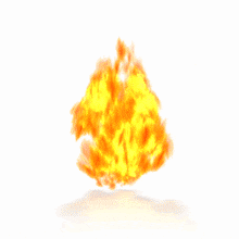 340f1471648efbdac8f06a9d34afe7ab.gif