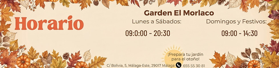 horario otoño morlaco.jpg