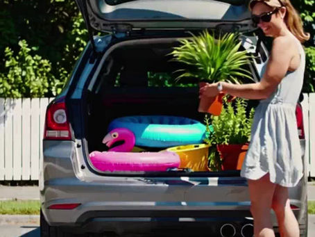 Cómo Cuidar tus Plantas cuando te Vas de Vacaciones