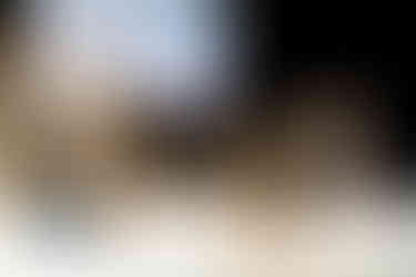 24 BILDER PRO SEKUNDE_111-cr2