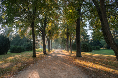 BASLER KANTONALBANK_005