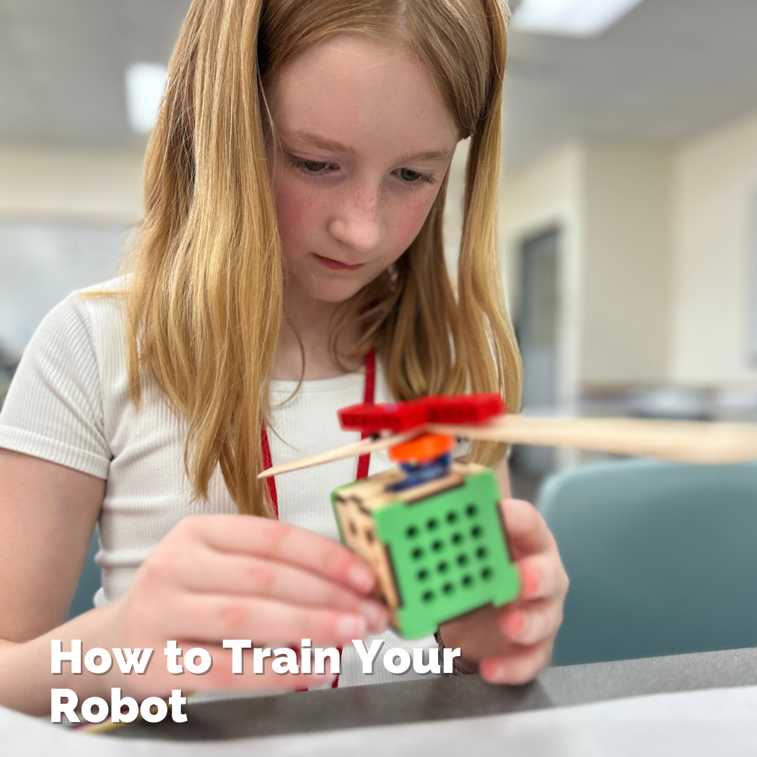 How to Train Your Robot