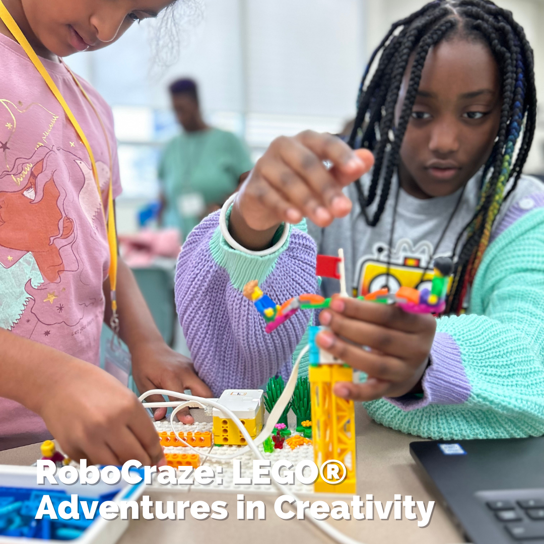 RoboCraze: LEGO® Adventures in Creativity