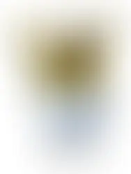 CHAMPIONNAT DU CLUB, TOUR 1