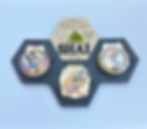 Run Disney Medal Display